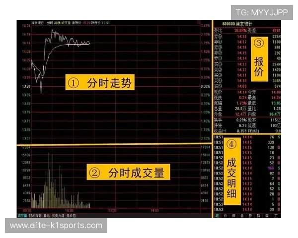足球球星套子成长之路与赛场辉煌瞬间全景解析